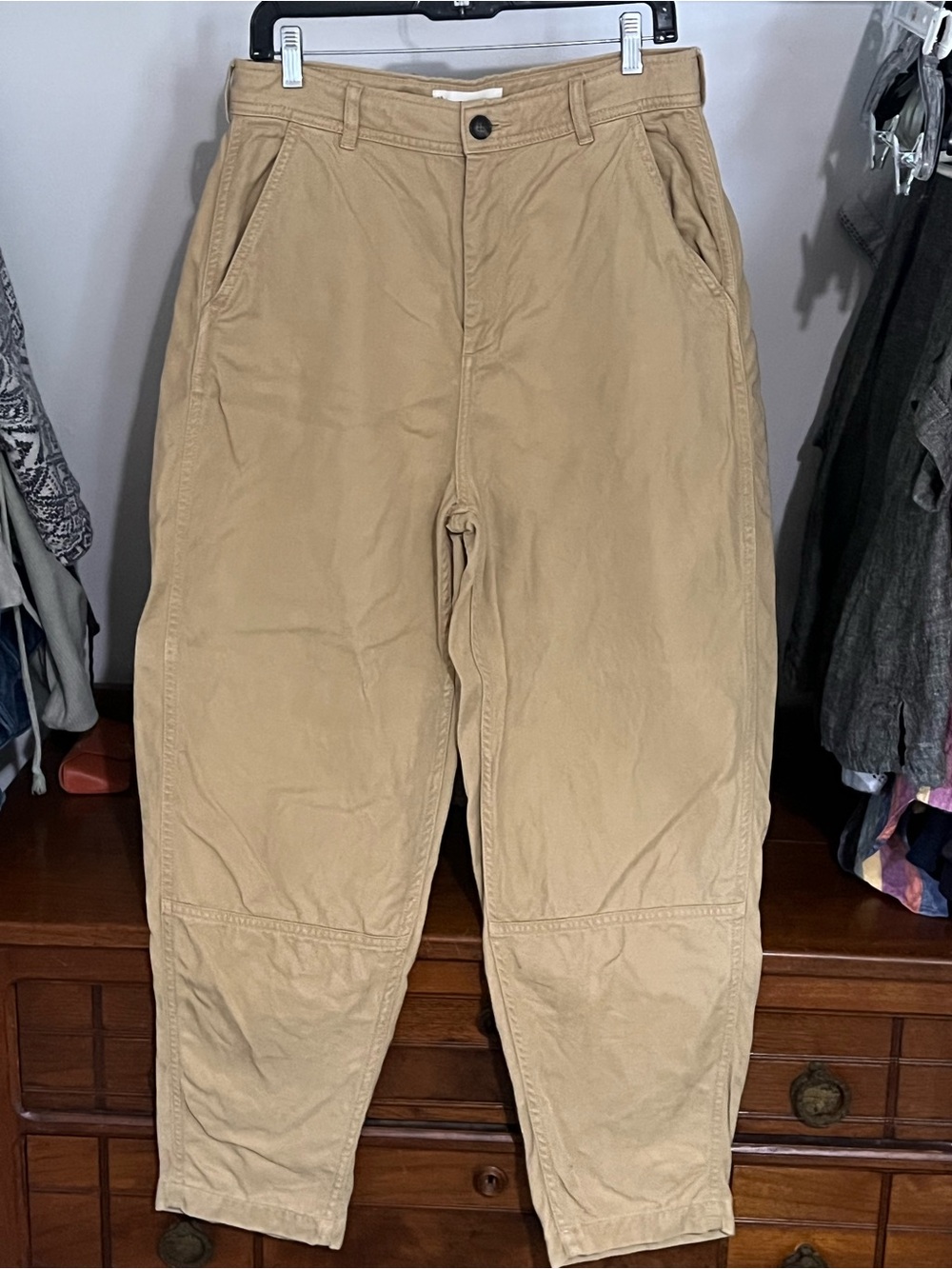 Everlane Tan Casual Chore Pants